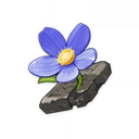 Tiny Miracle