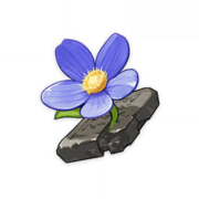 Tiny Miracle