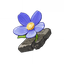 Tiny Miracle
