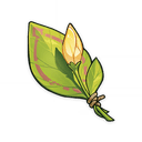 A Flower Yet to Bloom