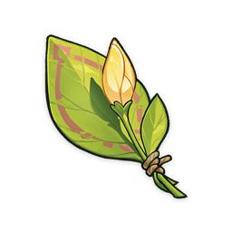 A Flower Yet to Bloom