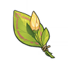 A Flower Yet to Bloom