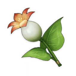 Calla Lily