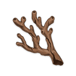 Coral Branch of a Distant Sea