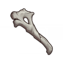 Fragile Bone Shard