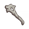 Fragile Bone Shard