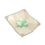Fungal Spores