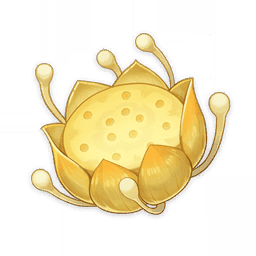 Nilotpala Lotus