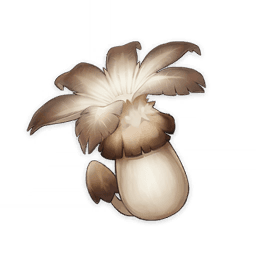 Philanemo Mushroom