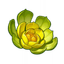 Primordial Greenbloom
