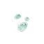 Slime Condensate