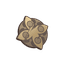 Tattered Warrant