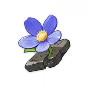 Tiny Miracle