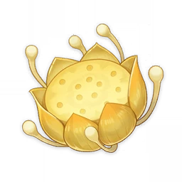 Nilotpala Lotus
